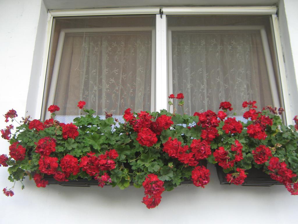 Apartment Vistanova Врдник Экстерьер фото